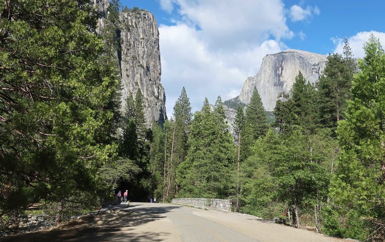 Returning from evening walk to Yosemite Falls