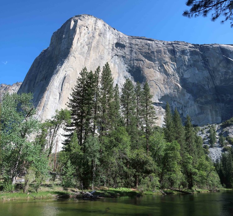 El Cap from bank of Merced River
