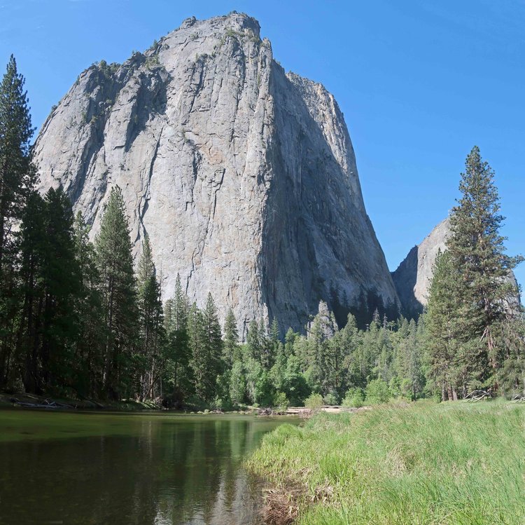 Cathedral Rock from El Cap Meadow