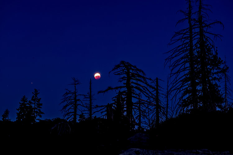 Eclipse-11-1.jpg