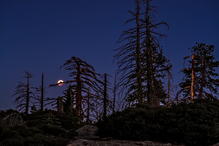 Eclipse-14-1.jpg