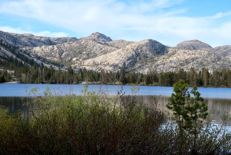 Vernon Lake