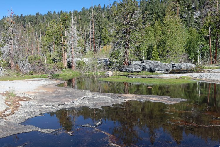 Pretty ponds on trail
