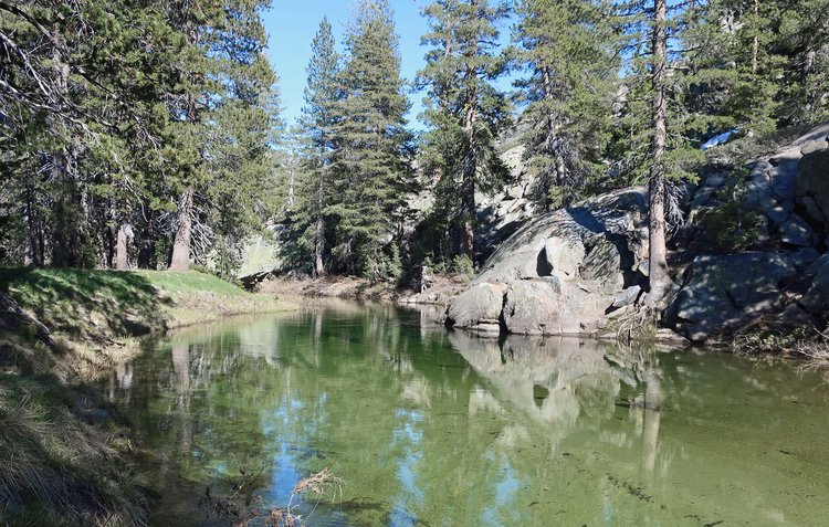 Little levee on Falls Creek where I camped