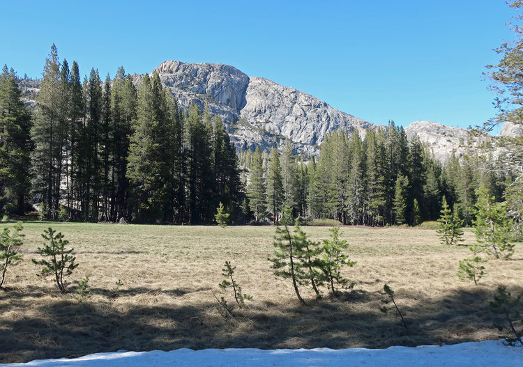 Looking out to meadow from my campsite