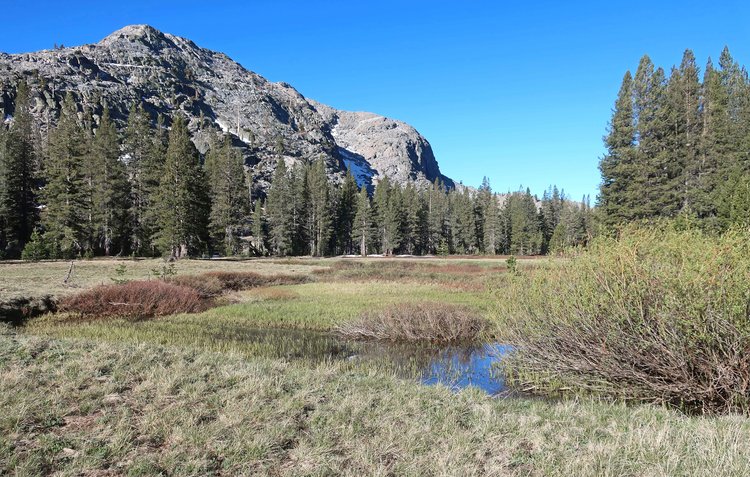 Looking back at Andrews Peak (on day hike)