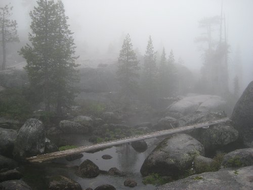 Fog