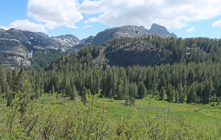 Meadow just before Badger Ponds