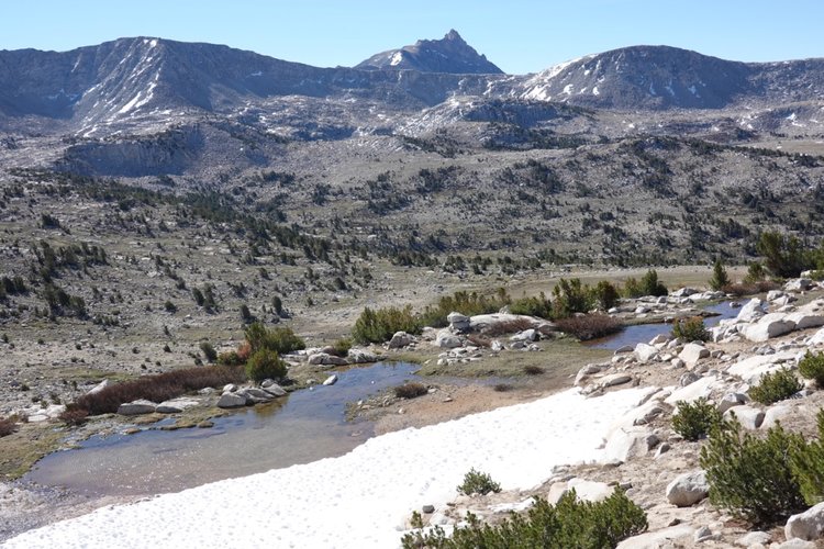 View toward upper French canyon from above Pine creek pass