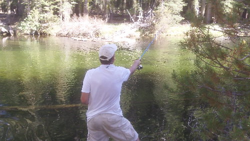 Merced Fish.jpg
