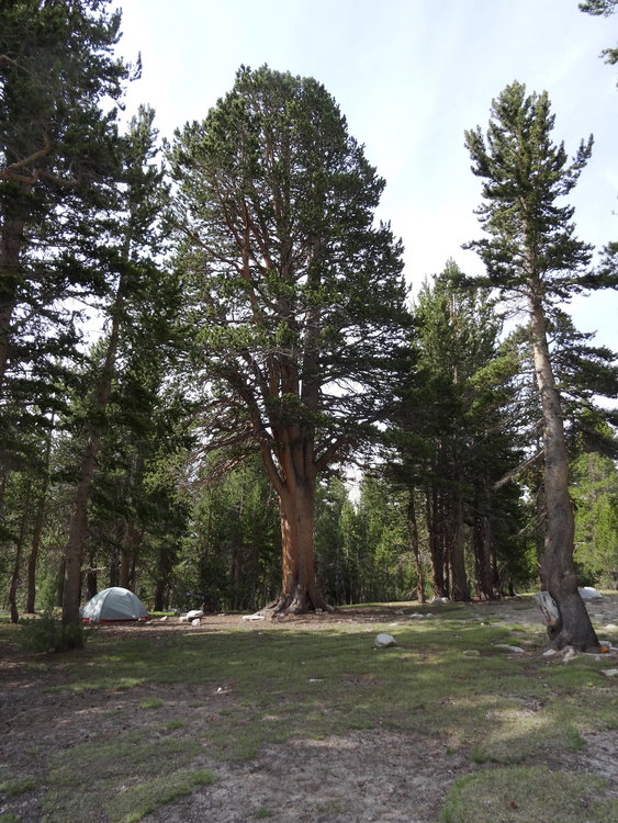 Our camp at 1st Lake