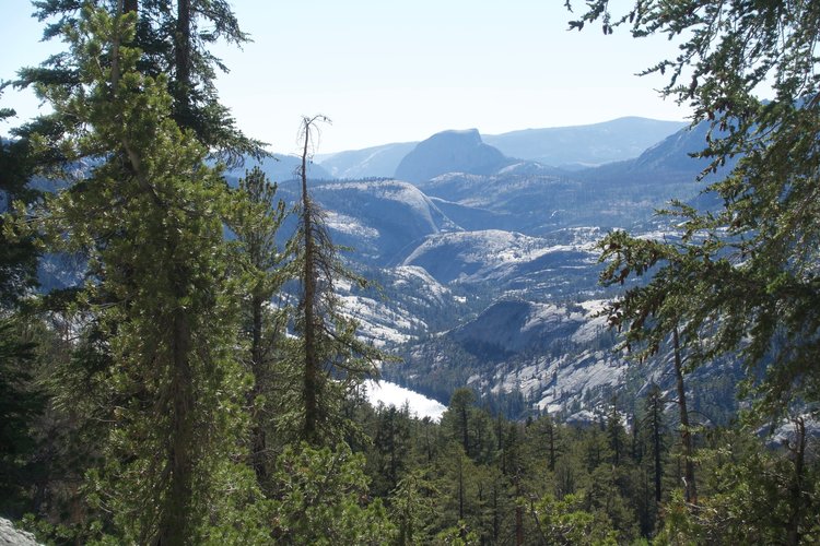 Surprise view of Half Dome, along the trail to Lewis Creek