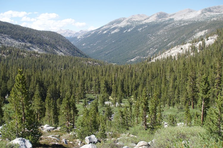 Back on the PCT in good ol' Lyell Fork