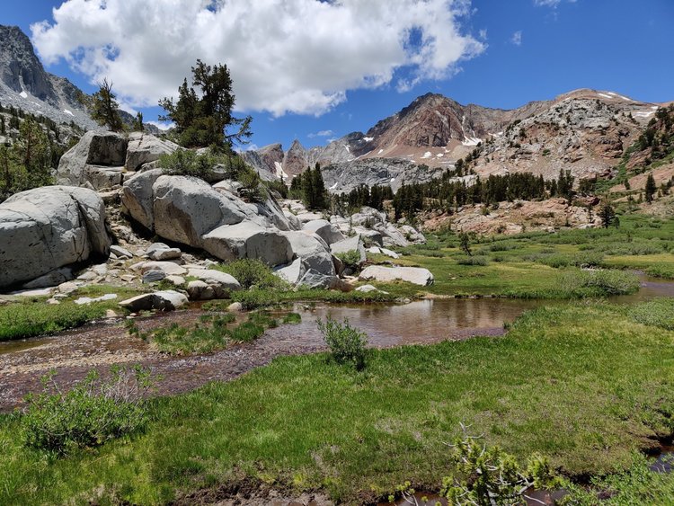 Awesome meadow below Big Mcgee Lake
