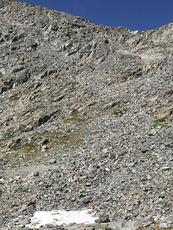Descent into Lewis Creek