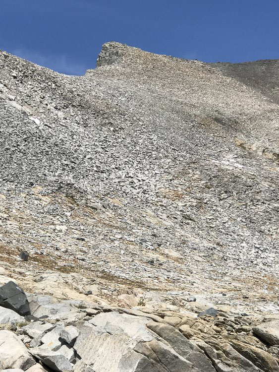 Ridge out of Lewis Creek