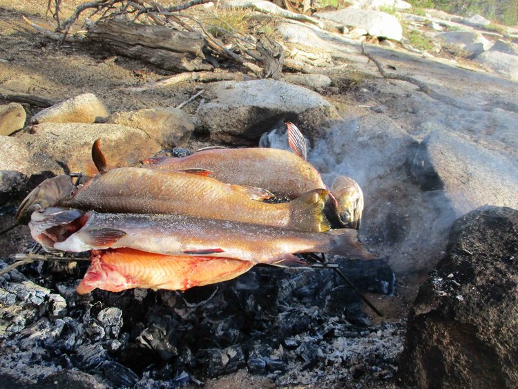 The three brookies we ate on night one were a bit much with our appetite diminished by too much in-tent snacking.