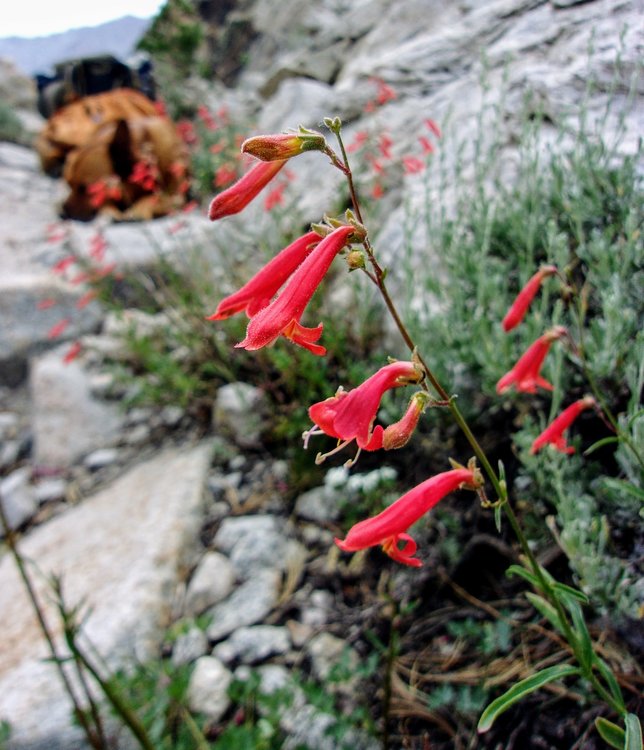 100_5807.JPG