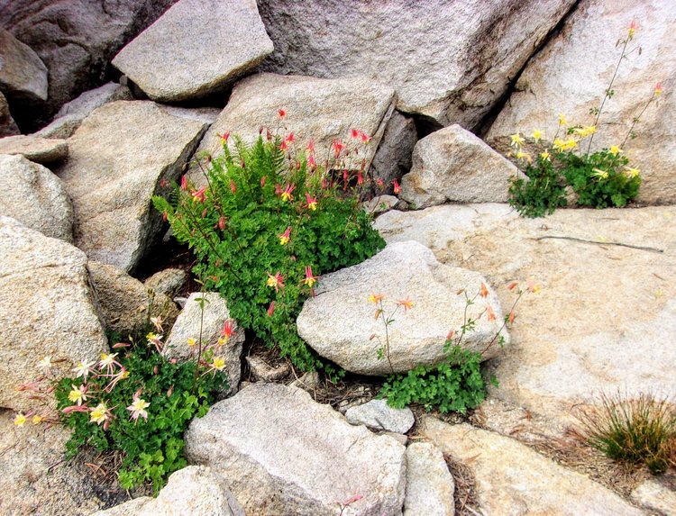 100_5719.JPG
