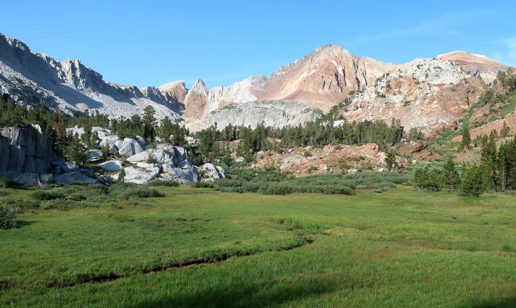 Meadow below Big McGee Lake