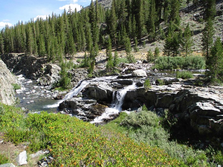 14 North Fork Goddard Creek.jpg