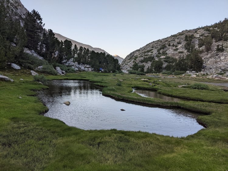 Sam Mack meadow