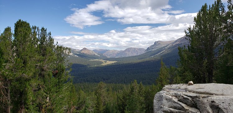 Dana Meadow
