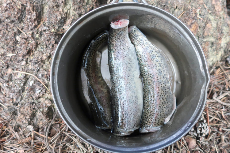 fish from Lake 10458
