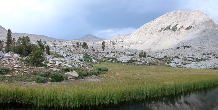 Meadow above western Blue Canyon Lake