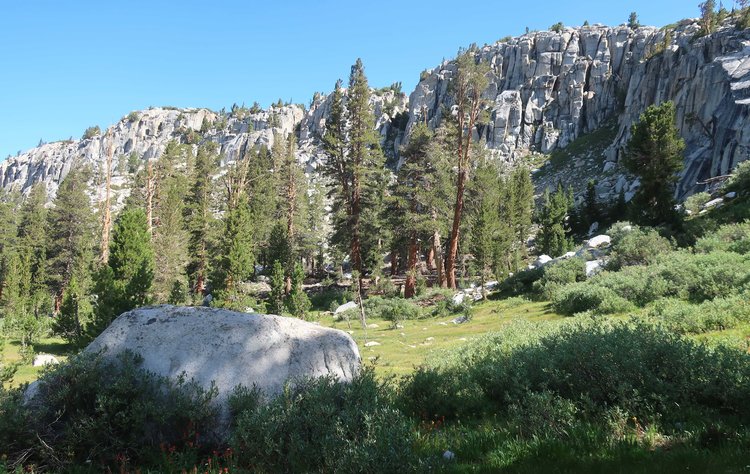lush meadow near outlet of Hummingbird Lake
