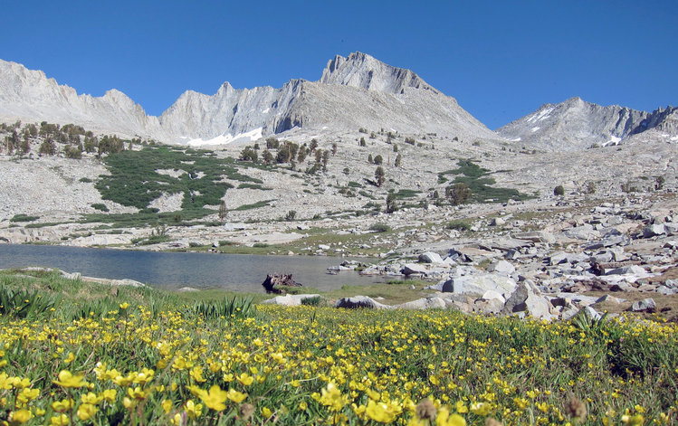 2011 photo of early season flowers at Lake 10456