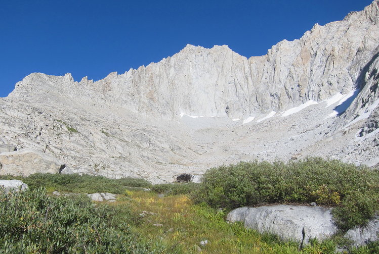 Grassy outlet meadow