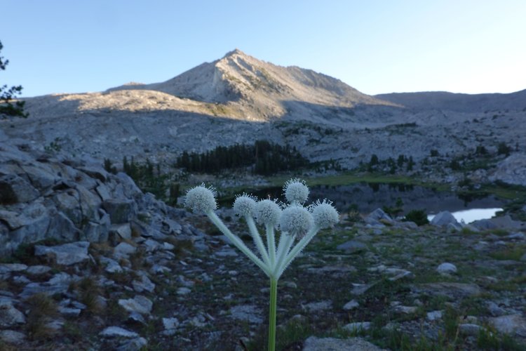 Finger Peak