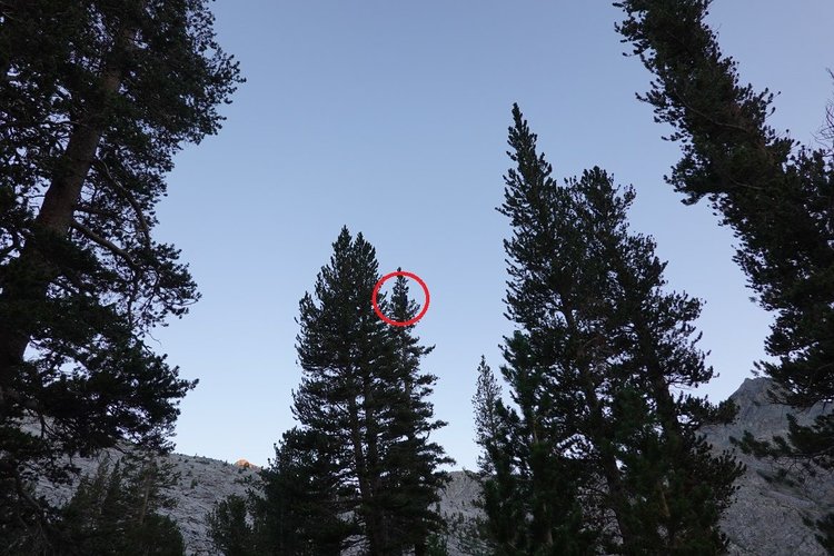 Note the red circle!
