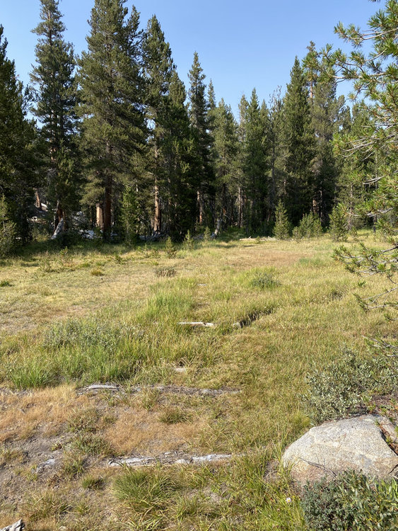 &quot;trail&quot;
