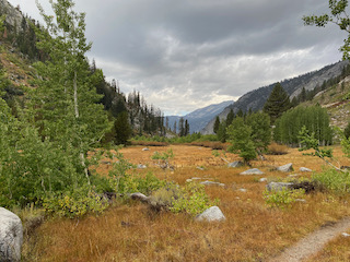 Meadow along Woods Creek