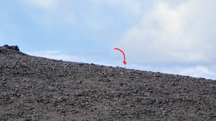 100_4307.jpg