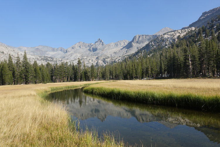 Western meadow, Mt. Ansel Adams
