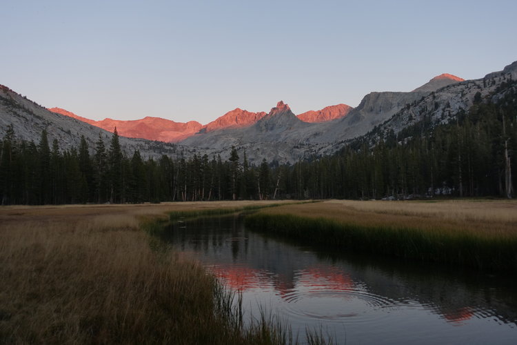 Evening light