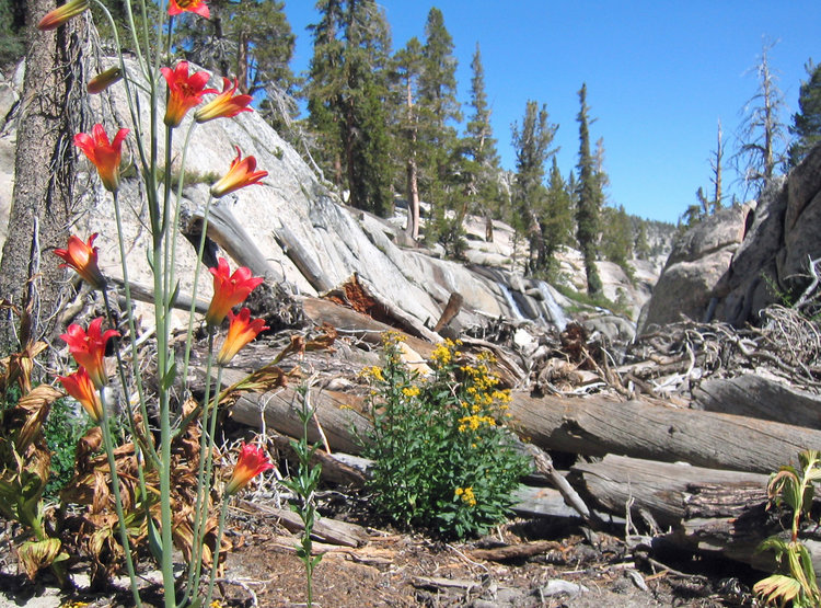 Below Red Devil Lakes bench