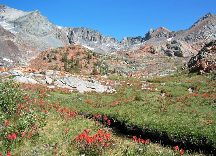 Valley below Rodgers Peak