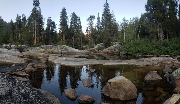 Reflections on Bear Creek