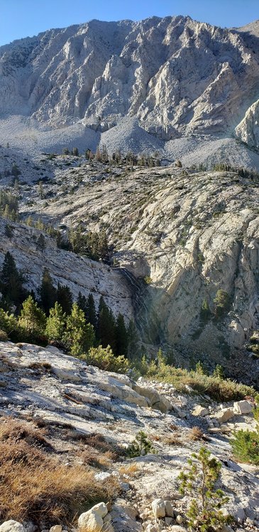 Pine Creek in the evening
