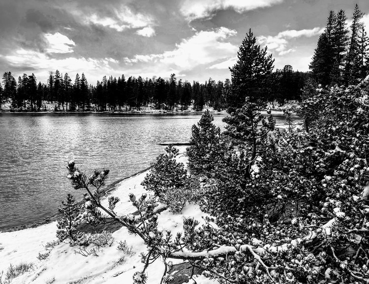 100_4852.jpg