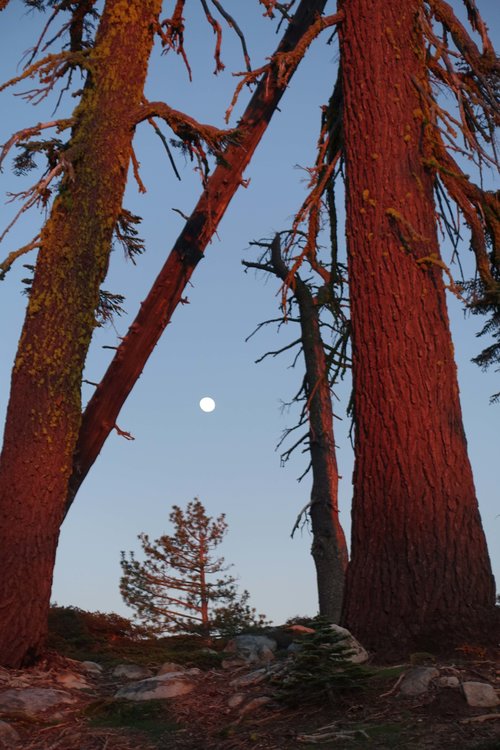 Moonrise