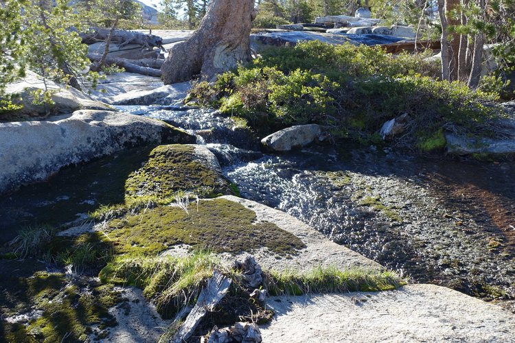Stream NE of Boundary Lake