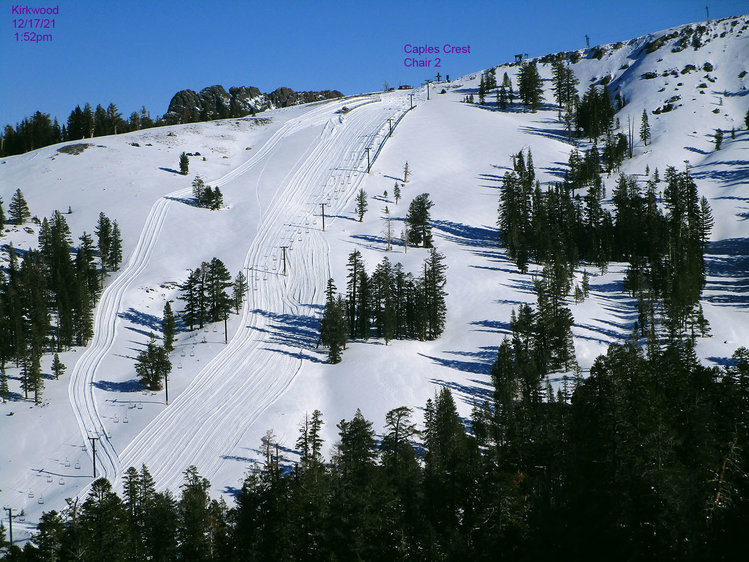 cc_8452.jpg