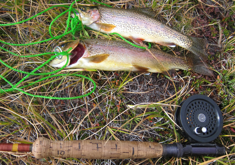 Fish from lake to the north
