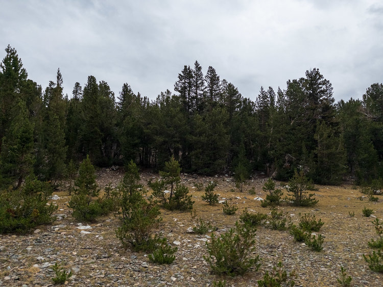 single track @ top of pass