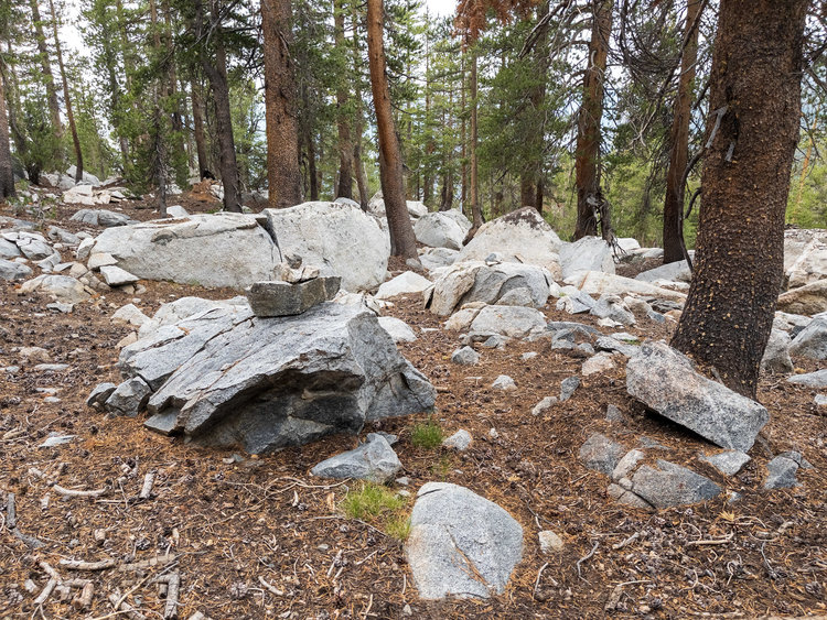 large cairns every 10 feet as it nears senger creek :/